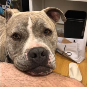 Meet your Posher, Timothy